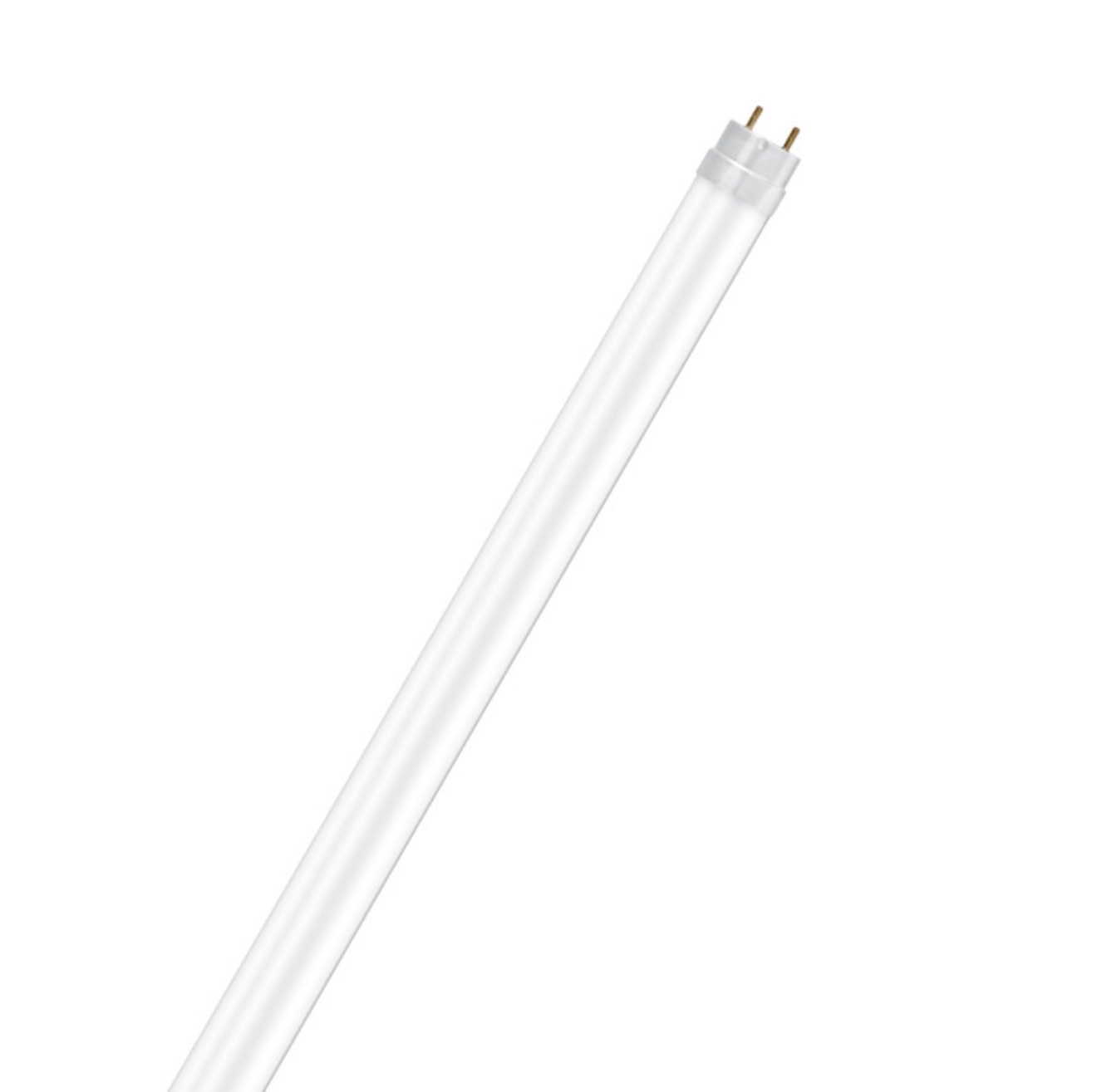 TUBE LED T8 150CM 24W ÉCLAIRAGE BLANC FROID PERFORMANT - PROLIGHT